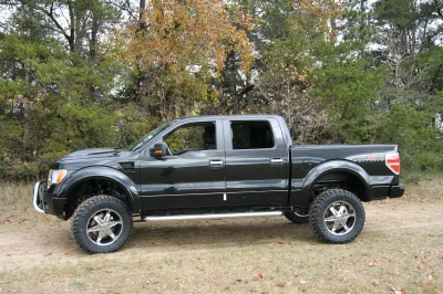OLDER - 2015 FORD F-150 RAMPAGE - Image 218 of 353