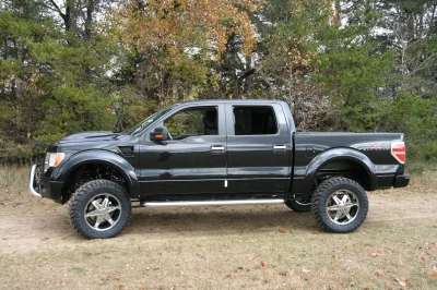 OLDER - 2015 FORD F-150 RAMPAGE - Image 219 of 353