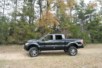 OLDER - 2015 FORD F-150 RAMPAGE - Image 220 of 353