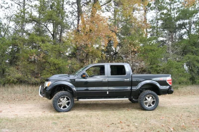 OLDER - 2015 FORD F-150 RAMPAGE - Image 221 of 353