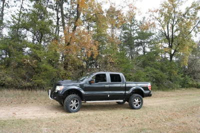 OLDER - 2015 FORD F-150 RAMPAGE - Image 224 of 353