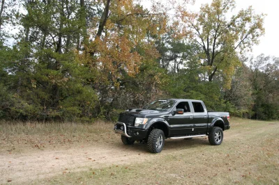 OLDER - 2015 FORD F-150 RAMPAGE - Image 225 of 353