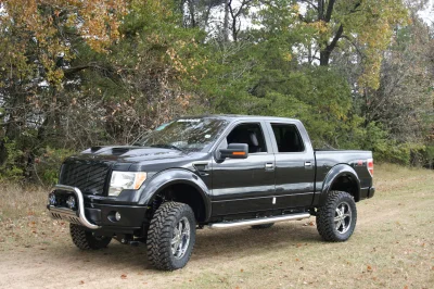 OLDER - 2015 FORD F-150 RAMPAGE - Image 227 of 353