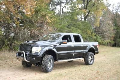 OLDER - 2015 FORD F-150 RAMPAGE - Image 229 of 353