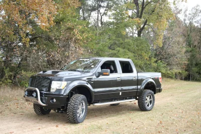 OLDER - 2015 FORD F-150 RAMPAGE - Image 230 of 353