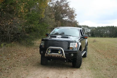 OLDER - 2015 FORD F-150 RAMPAGE - Image 233 of 353