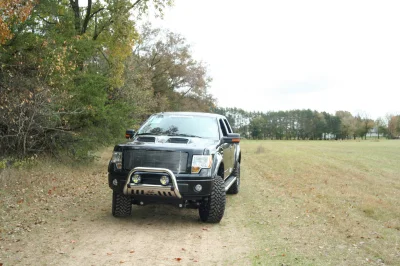 OLDER - 2015 FORD F-150 RAMPAGE - Image 234 of 353