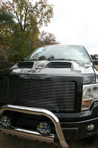 OLDER - 2015 FORD F-150 RAMPAGE - Image 236 of 353