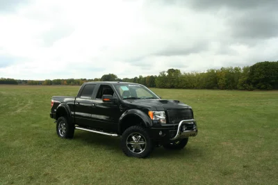 OLDER - 2015 FORD F-150 RAMPAGE - Image 239 of 353