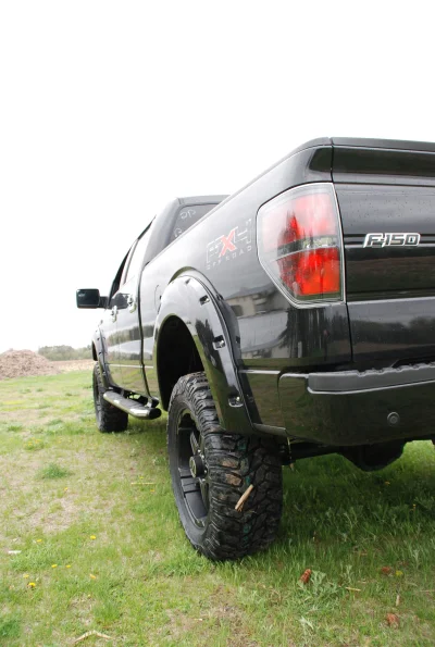 OLDER - 2015 FORD F-150 RAMPAGE - Image 24 of 353