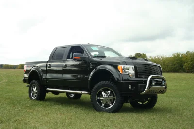 OLDER - 2015 FORD F-150 RAMPAGE - Image 241 of 353