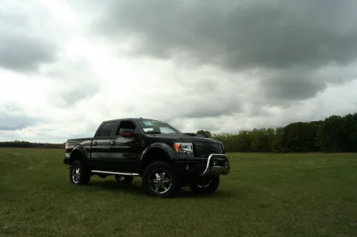 OLDER - 2015 FORD F-150 RAMPAGE - Image 242 of 353