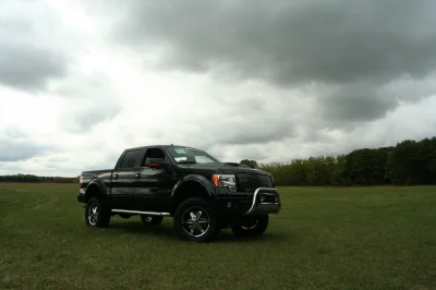 OLDER - 2015 FORD F-150 RAMPAGE - Image 243 of 353