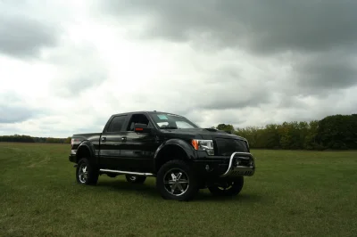 OLDER - 2015 FORD F-150 RAMPAGE - Image 245 of 353