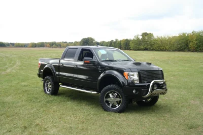 OLDER - 2015 FORD F-150 RAMPAGE - Image 246 of 353