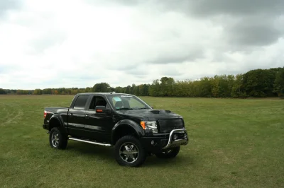 OLDER - 2015 FORD F-150 RAMPAGE - Image 247 of 353