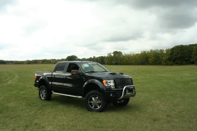 OLDER - 2015 FORD F-150 RAMPAGE - Image 249 of 353