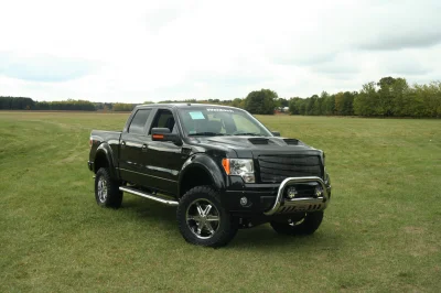 OLDER - 2015 FORD F-150 RAMPAGE - Image 250 of 353