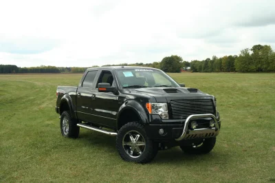 OLDER - 2015 FORD F-150 RAMPAGE - Image 251 of 353