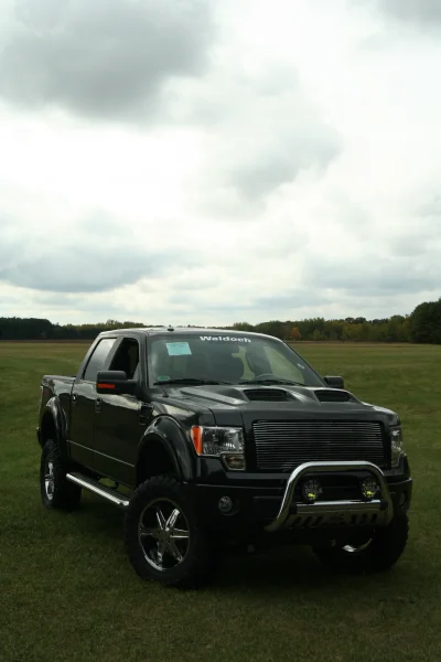 OLDER - 2015 FORD F-150 RAMPAGE - Image 255 of 353