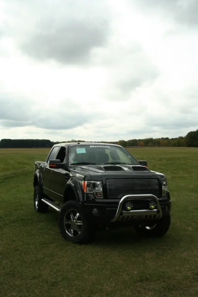 OLDER - 2015 FORD F-150 RAMPAGE - Image 256 of 353