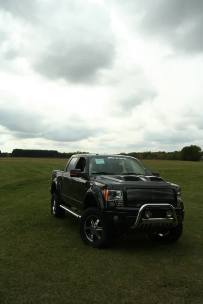 OLDER - 2015 FORD F-150 RAMPAGE - Image 257 of 353