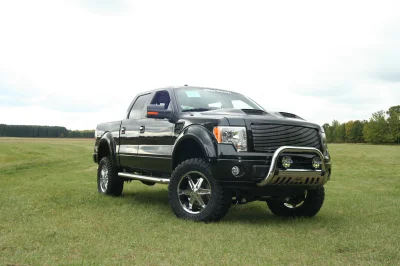 OLDER - 2015 FORD F-150 RAMPAGE - Image 265 of 353