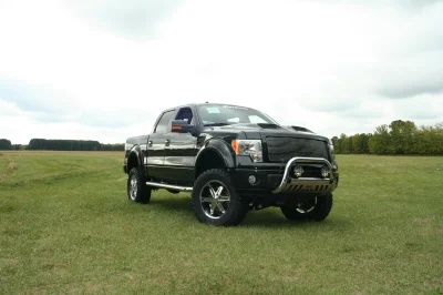 OLDER - 2015 FORD F-150 RAMPAGE - Image 266 of 353