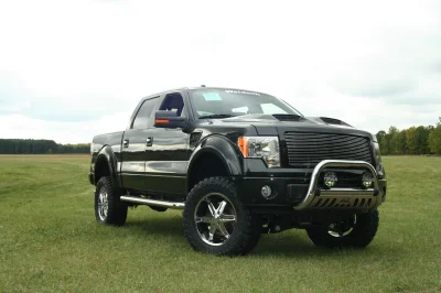 OLDER - 2015 FORD F-150 RAMPAGE - Image 267 of 353