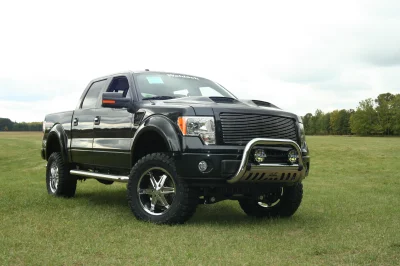 OLDER - 2015 FORD F-150 RAMPAGE - Image 268 of 353