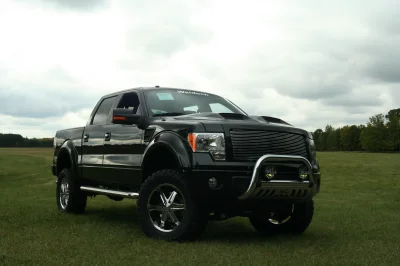 OLDER - 2015 FORD F-150 RAMPAGE - Image 269 of 353