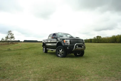 OLDER - 2015 FORD F-150 RAMPAGE - Image 270 of 353