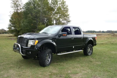 OLDER - 2015 FORD F-150 RAMPAGE - Image 273 of 353