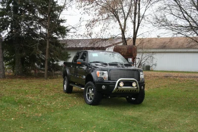 OLDER - 2015 FORD F-150 RAMPAGE - Image 280 of 353