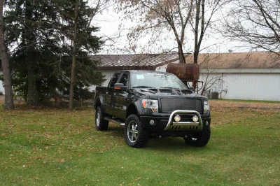 OLDER - 2015 FORD F-150 RAMPAGE - Image 281 of 353