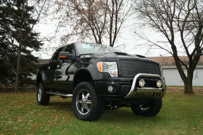 OLDER - 2015 FORD F-150 RAMPAGE - Image 298 of 353