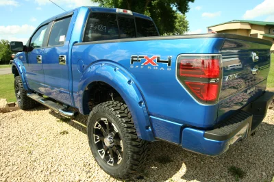 OLDER - 2015 FORD F-150 RAMPAGE - Image 30 of 353