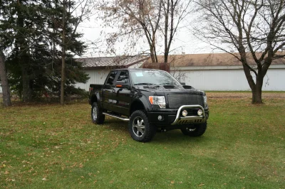 OLDER - 2015 FORD F-150 RAMPAGE - Image 300 of 353