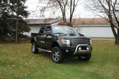 OLDER - 2015 FORD F-150 RAMPAGE - Image 301 of 353