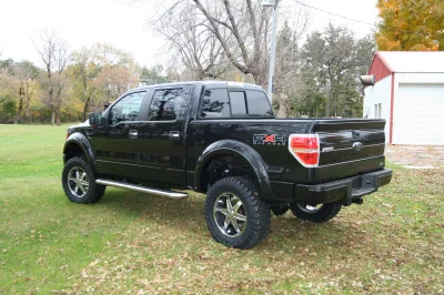 OLDER - 2015 FORD F-150 RAMPAGE - Image 306 of 353