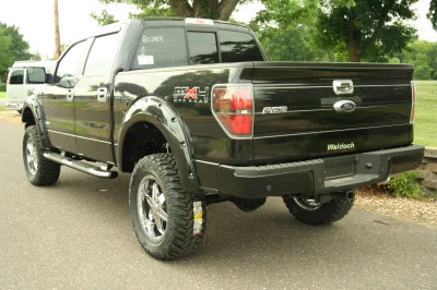 OLDER - 2015 FORD F-150 RAMPAGE - Image 81 of 353