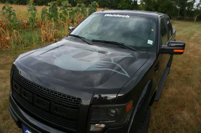 FOX RAMPAGEX - 2015 FORD F-150 RAMPAGE - Image 2 of 26