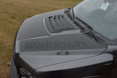 MAGNETIC 2 - 2016 FORD F-150 RAPTOR X - Image 5 of 7