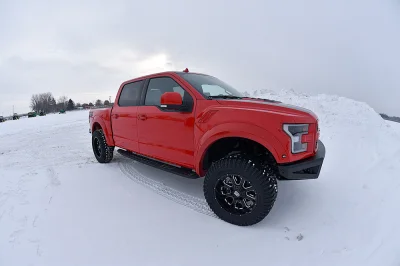 RACE RED 3 - 2016 FORD F-150 RAPTOR X - Image 2 of 9