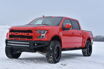 RACE RED 3 - 2016 FORD F-150 RAPTOR X - Image 3 of 9