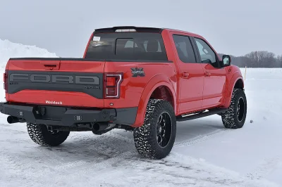 RACE RED 3 - 2016 FORD F-150 RAPTOR X - Image 4 of 9