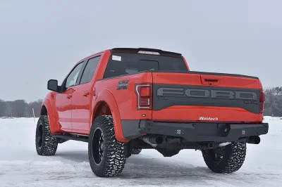RACE RED 3 - 2016 FORD F-150 RAPTOR X - Image 5 of 9