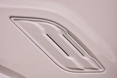 SUMMIT WHITE 1 - 2016 FORD F-150 RAPTOR X - Image 10 of 18