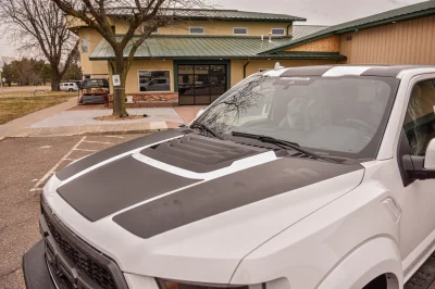 SUMMIT WHITE 1 - 2016 FORD F-150 RAPTOR X - Image 12 of 18