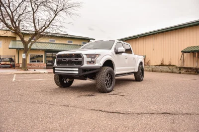SUMMIT WHITE 1 - 2016 FORD F-150 RAPTOR X - Image 15 of 18
